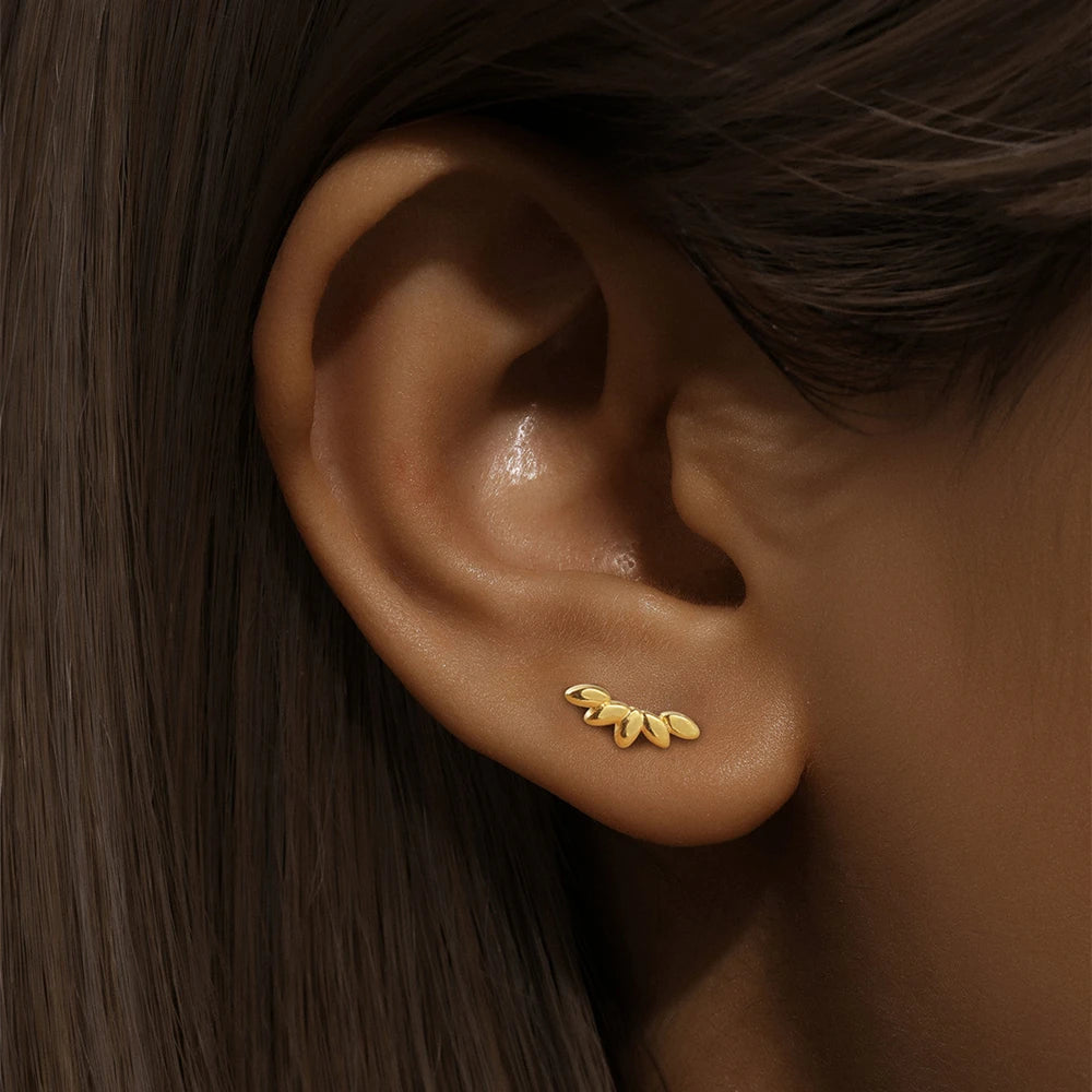 עגילי מנורה