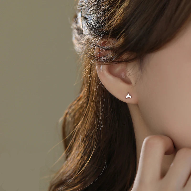 עגילי פרא הים