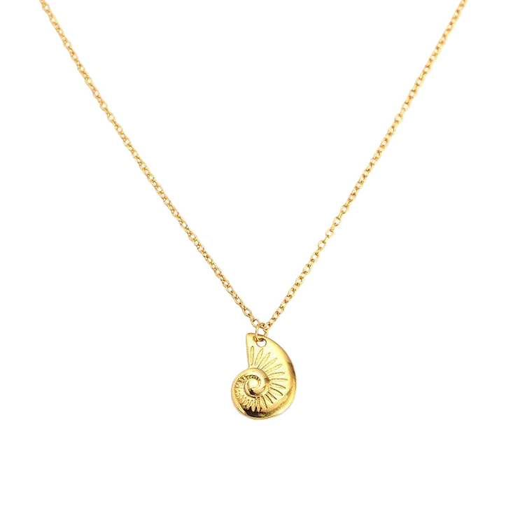 שרשרת כונכיה